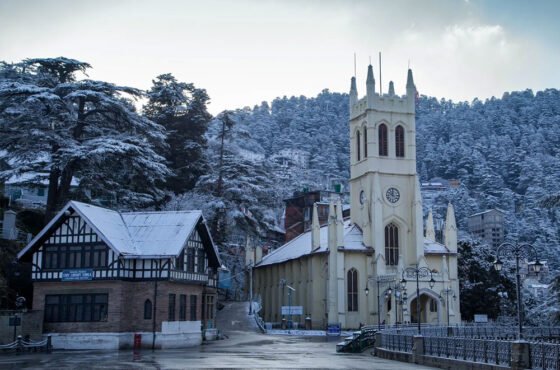 Queen of Hills: The Ultimate 3D/4N Shimla Escape